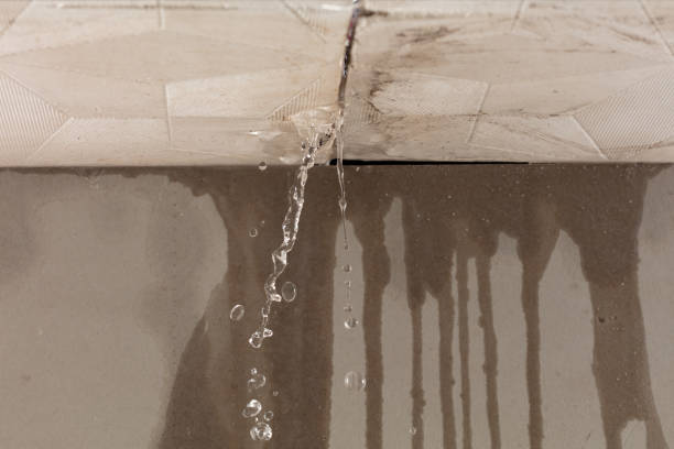 Professional Structural Drying technician working in Franklin, TX